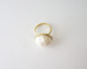 White shell ring 3